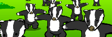 badgerbadgerbadger.png