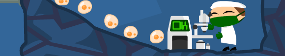 embryo